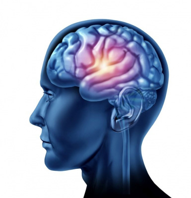 Activité physique et maintient des fonctions cérébrales