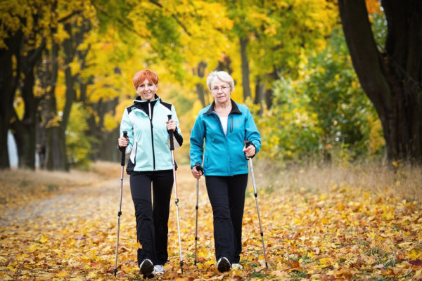 Seniors en marche nordique dans la forêt